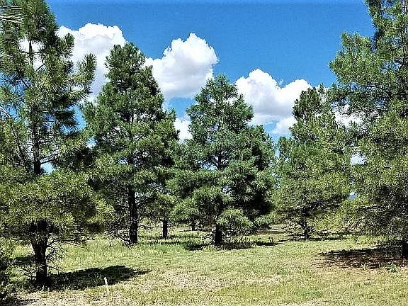 10 full acres of Ponderosa