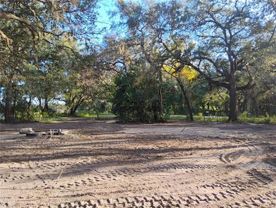 7626 SE 183rd Avenue Rd, Ocklawaha, FL, 32179