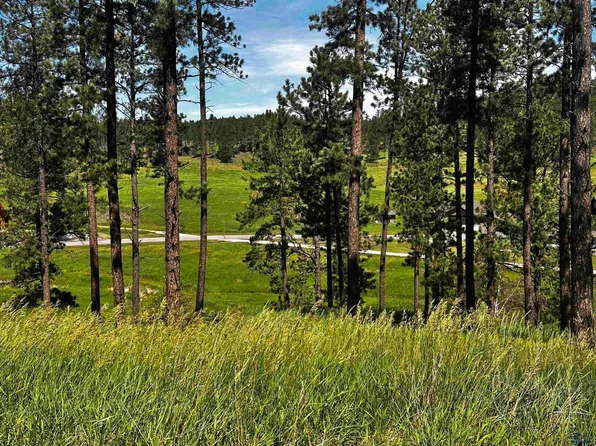 LOT 8 Other, Hill City, SD 57745