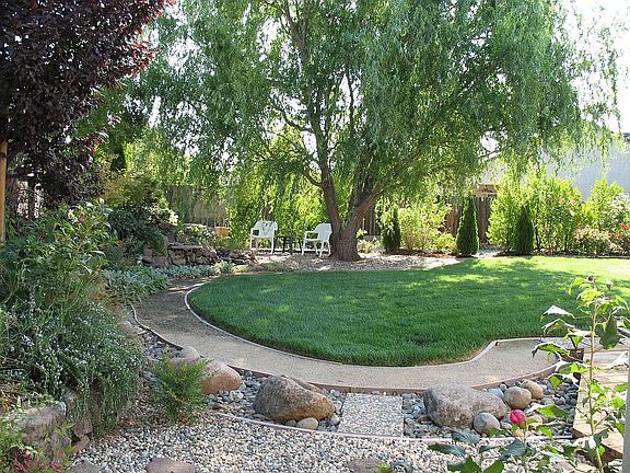 Waterfall and backyard