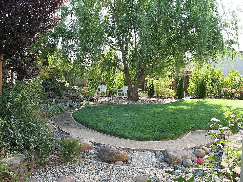 Waterfall and backyard