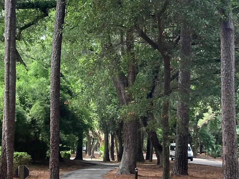 Bike path right outside villa