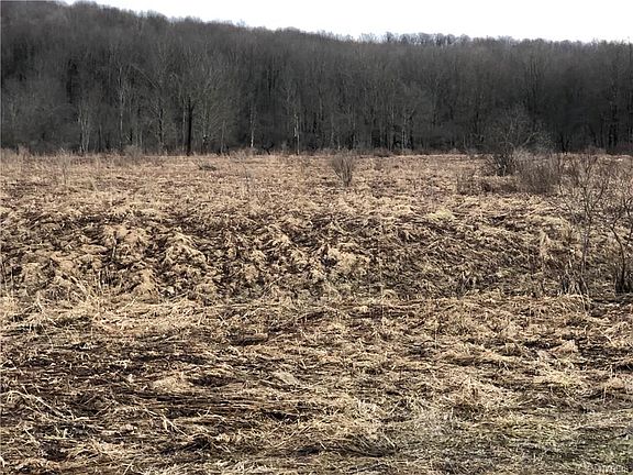 3rd image of 0 Sommerville Valley Rd