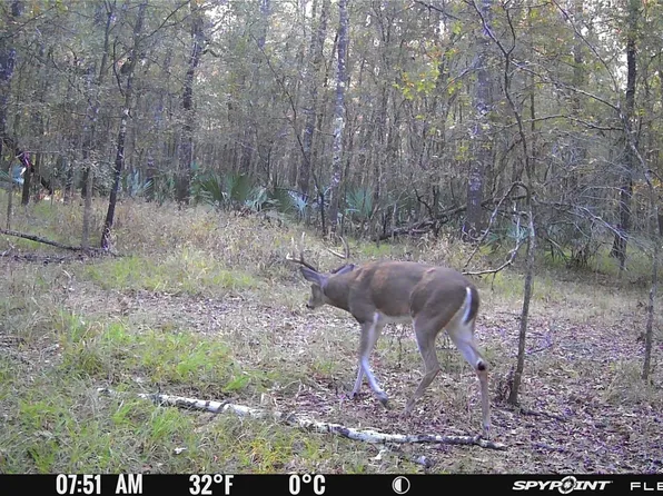 LOT 25 Frank Ln, Magnolia, TX 77354