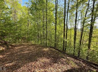 LOT 1C Lakewood Dr, Hayesville, NC 28904