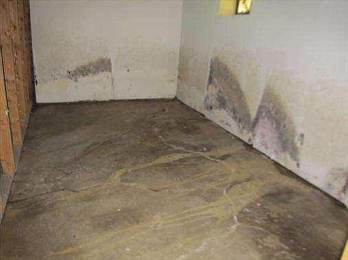 2nd image of 808 Gomber Ave