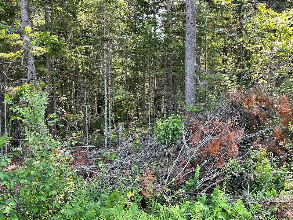 2nd image of LOT 2 Route 490