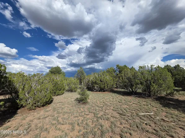 2870 E Forest Service Rd #736, Williams, AZ 86046
