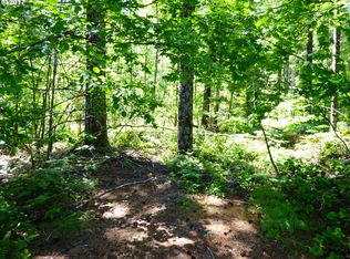 Trout Creek Rd, Carson, WA 98610