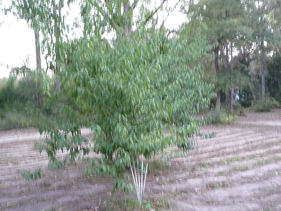 3rd image of 9080 Private Road 3010