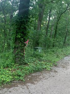 0 Clermont Dr, Festus, MO, 63028