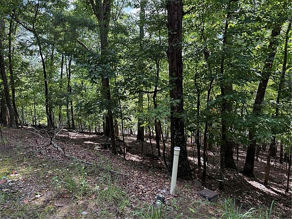 2nd image of 117 Tulip Tree Ct #173