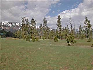 backyard view