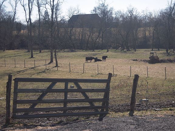 23.748 acres for you & the animals!