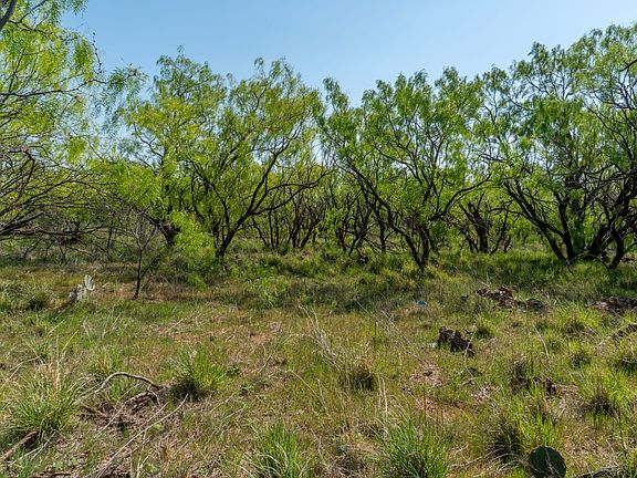 Sweetwater Land For Sale with Owner Financing Available