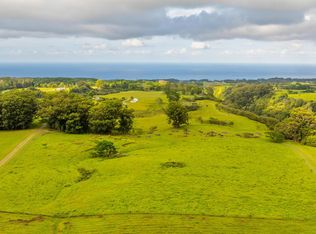 Kaiwiki Homestead Rd LOT 39-C, Hakalau, HI 96710