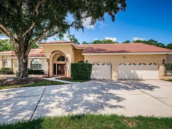 3995 Wellington Pkwy, Palm Harbor, FL 34685
