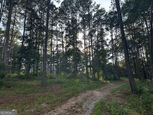 229 Morgan Rd, Ila, GA 30647