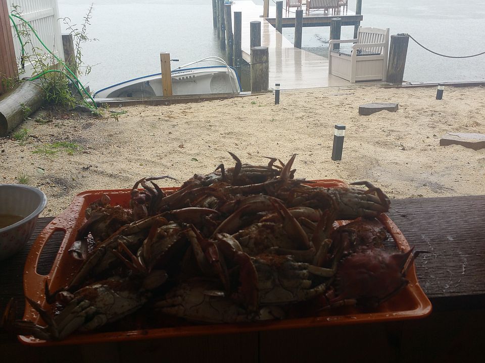 Blue claws caught right off thepier