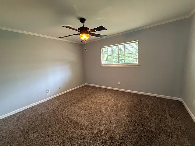 609 Milligan Dr — Photo 9