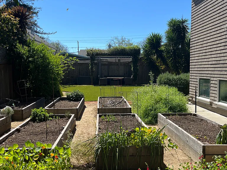 Raised vegetable beds shared among tenants
