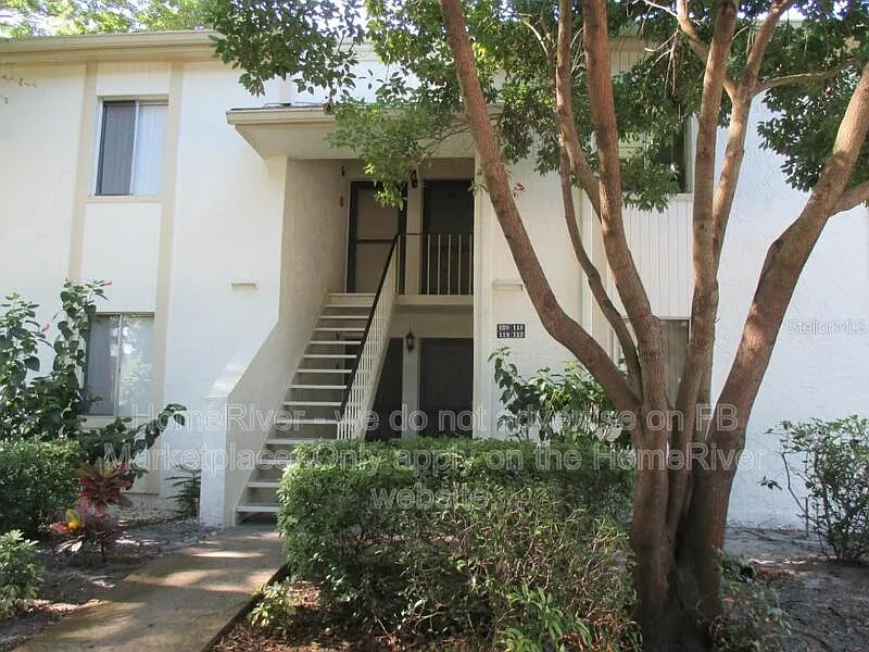 117 Palmetto Ct