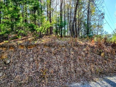 P12 Goldmine Dr, Ellijay, GA, 30536