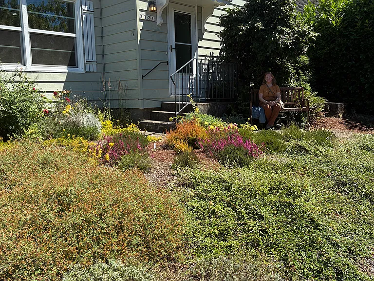 Front yard
