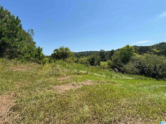 3rd image of 6559 State Highway 174