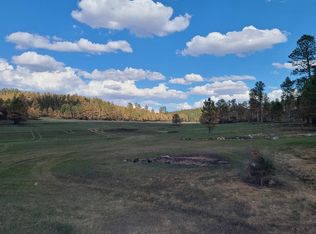 25236 Lower French Creek Rd, Custer, SD 57730
