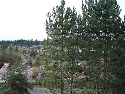 View from Dinning Room