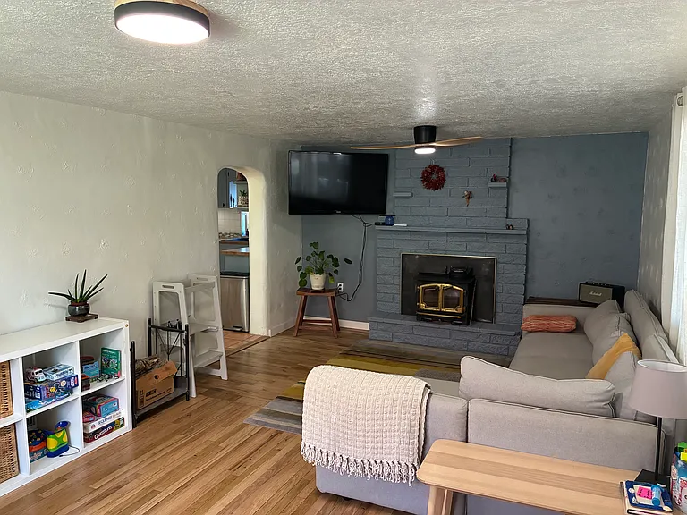 Living room with fireplace