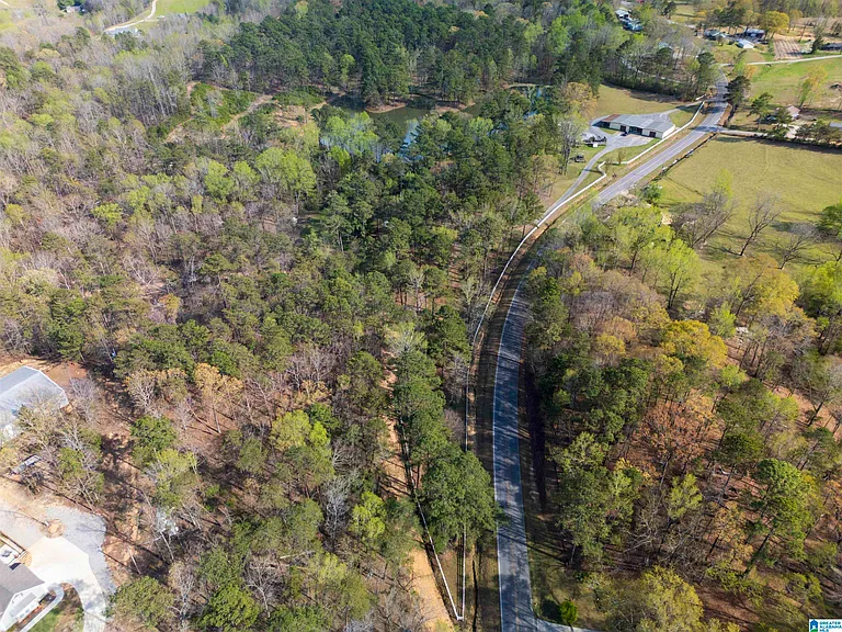 4083 County Road 158 — Photo 2