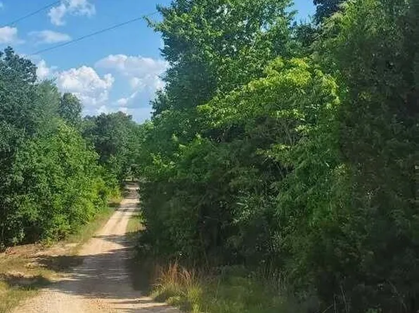 19 Chinkapin Rd, Sugar Tree, TN 38380