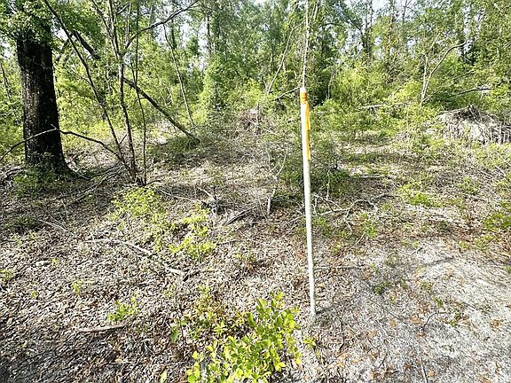 5th image of 0 N County Road 53
