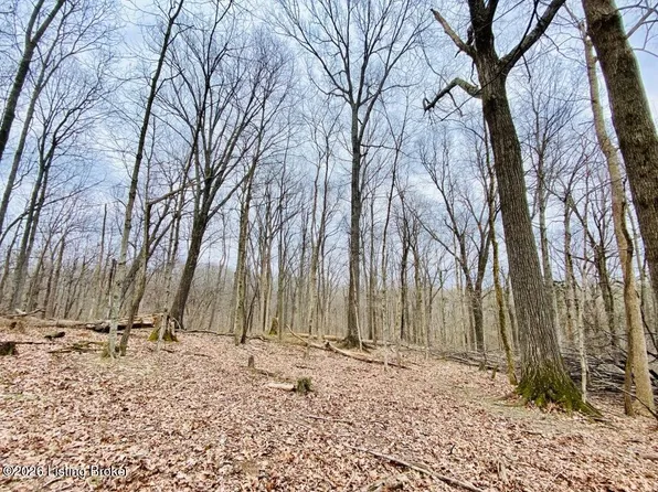 1100 Windy Way Ln, Harrodsburg, KY 40330