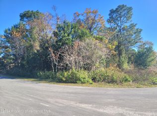 0 Boswell Rd, Spring Hill, FL 34608