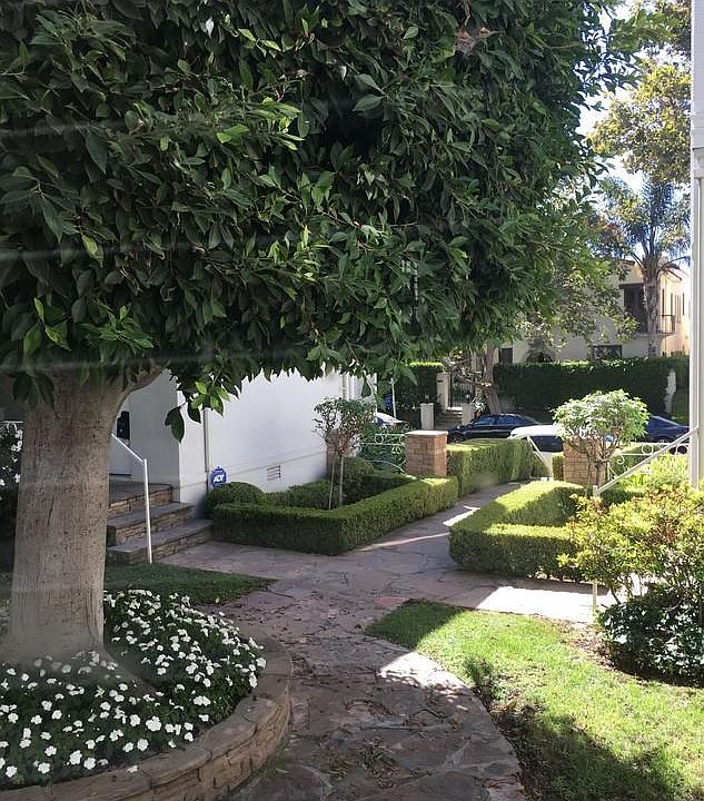 Lovely interior courtyard building
