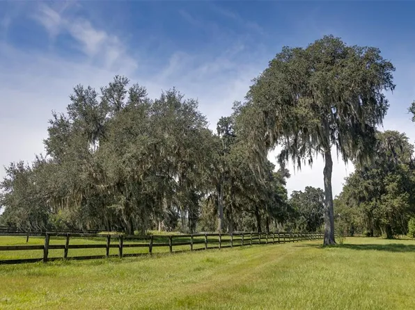 19560 NW 123rd Ct, Micanopy, FL 32667