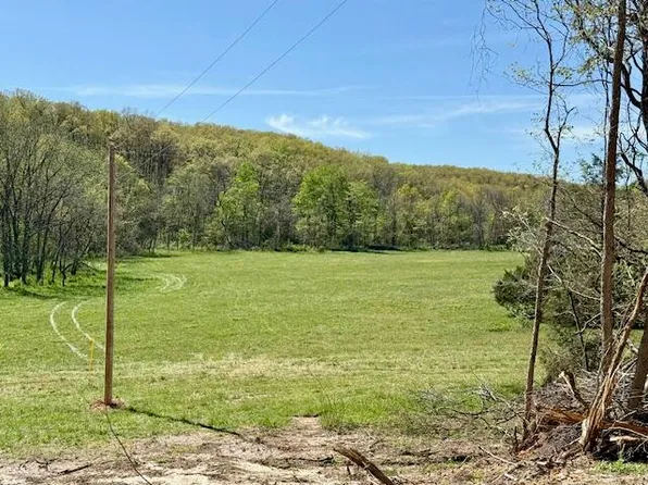 (undisclosed Address), Ava, MO 65608