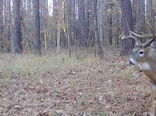 Bowling Green Rd, Lexington, MS 39095