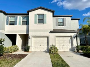 4537 Globe Thistle Dr, Tampa, FL 33619