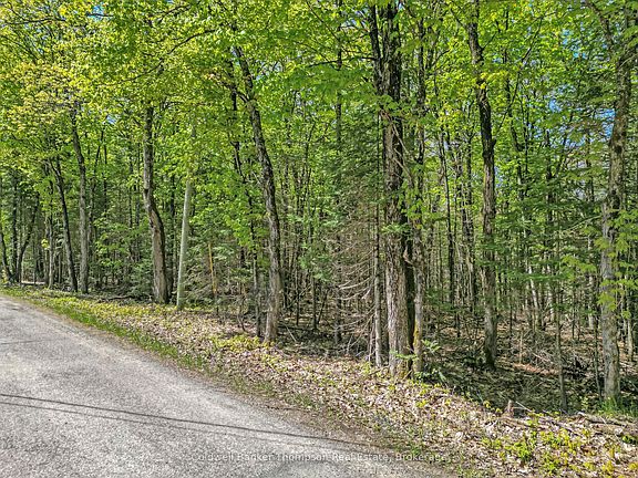 5th image of 989 N Waseosa Lake Rd
