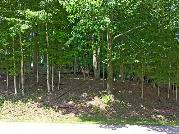 5th image of 848 Valleywood Heights Dr Lot 54