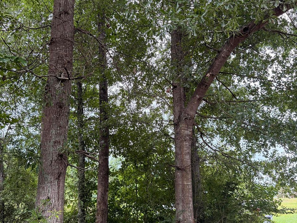 1st image of Cedar Ridge