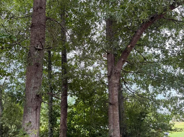 Cedar Ridge, McComb, MS 39648