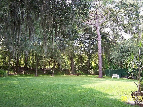 Oversized back yard