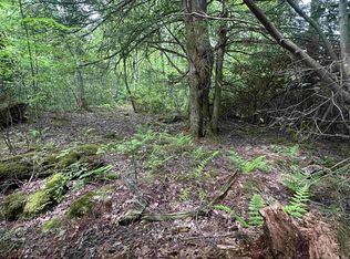 7 Tuscan Ridge Rd, Davis, WV 26260