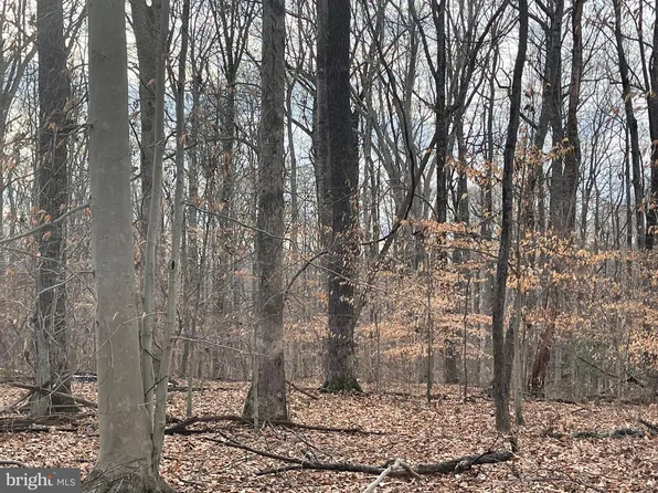 Lusbys Ln, Brandywine, MD 20613