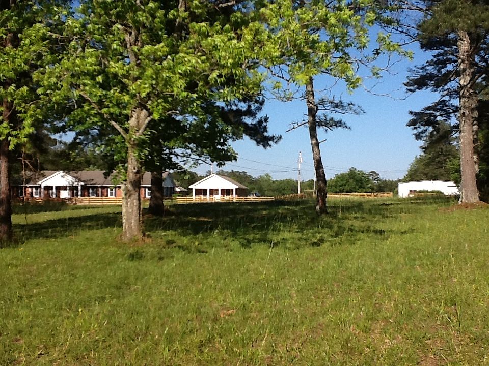 Front pasture